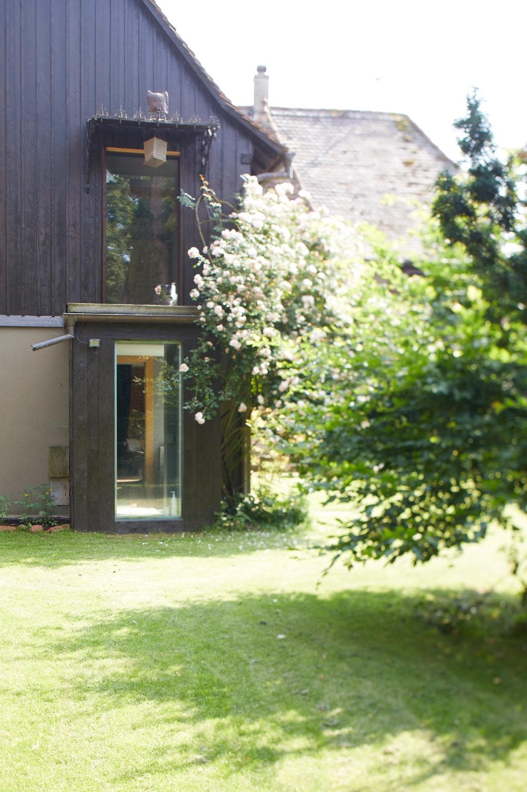 Extension verre et bois
